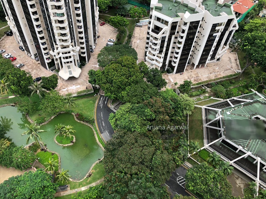 Bayshore Park (D16), Condominium #206424231